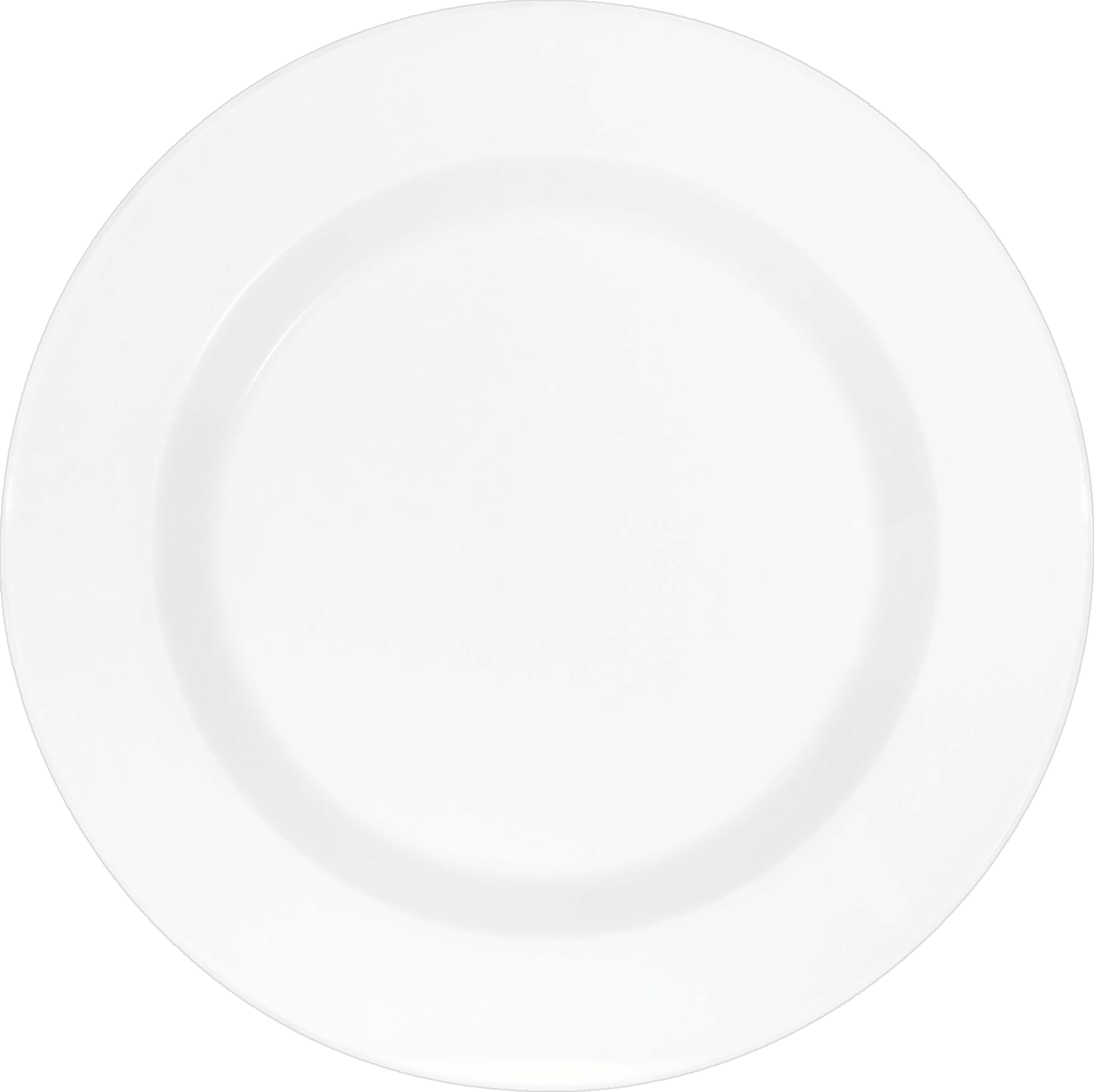 Schoenwald 9400022 Teller Flach Fahne, Porzellan, Töpferei, Teller, Essen, Mahlzeit